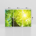 Obraz na płótnie 120x80 - Drzewo pod Słońcem: Łączność z Naturą - drzewo, słońce