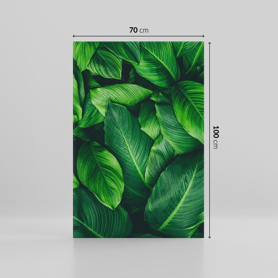 Obraz na płótnie 70x100 - Palma Liście Kwiat - palma, liście
