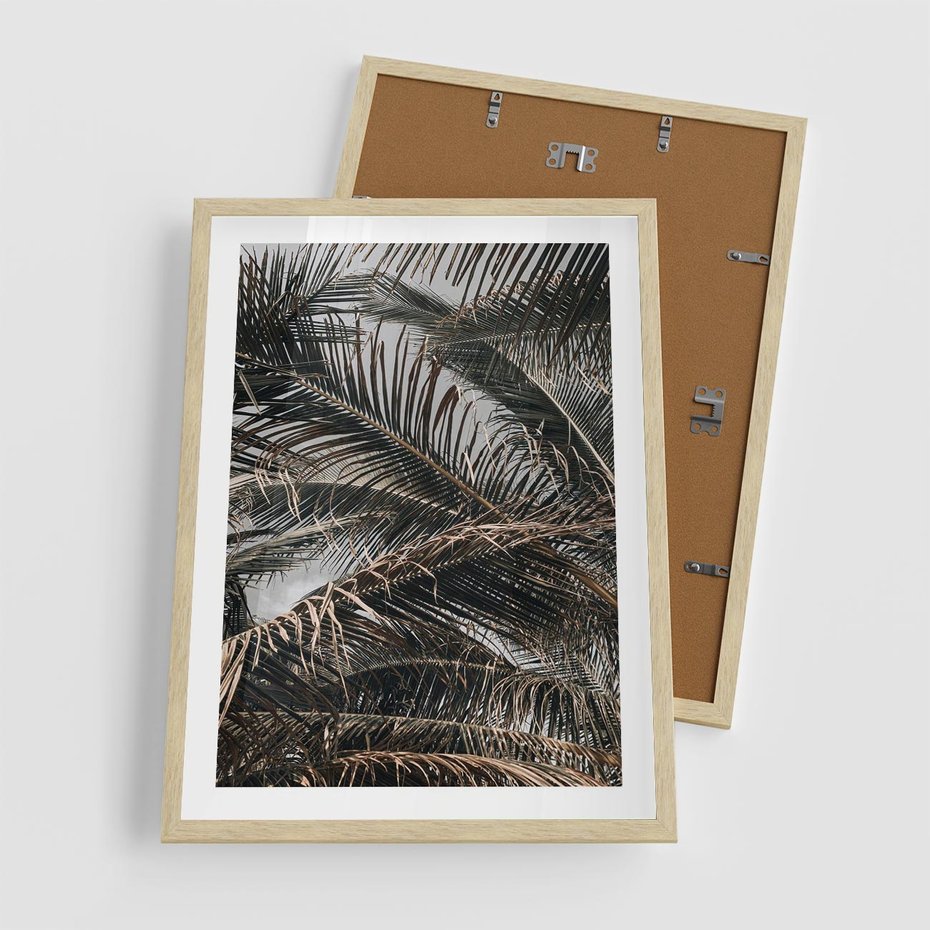 Plakat w ramie 50x70 - Liściaste Palmy - palmy, drzewa palmowe - rama drewno