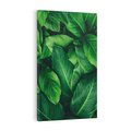 Obraz na płótnie 70x100 - Palma Liście Kwiat - palma, liście