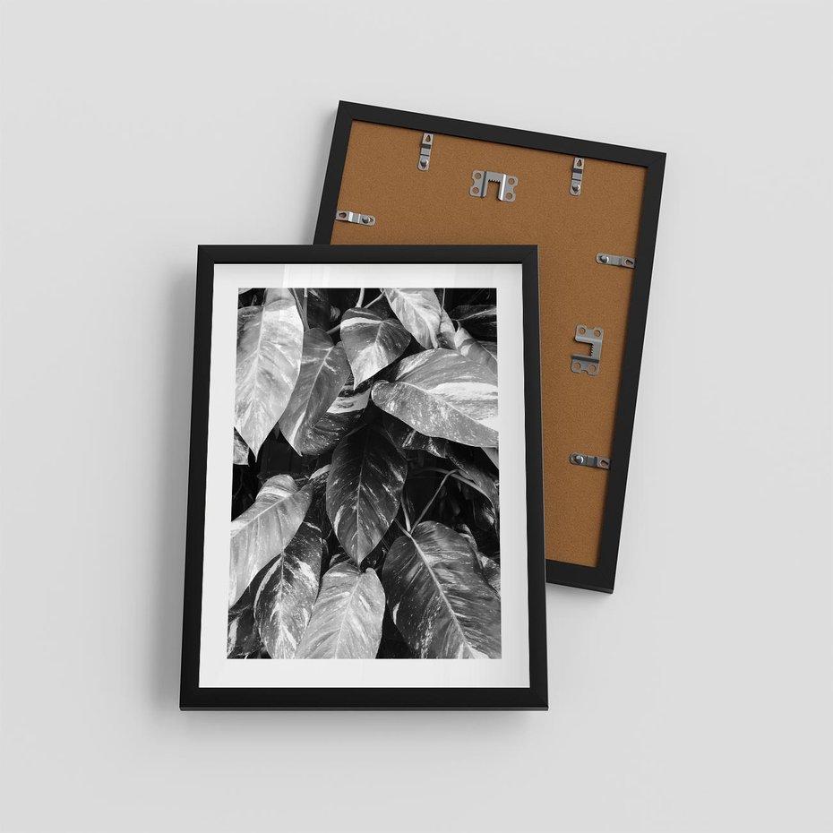 Plakat w ramie 30x40 - Liście w Czarno-Białej Fotografii - liście, roślina - rama czarna