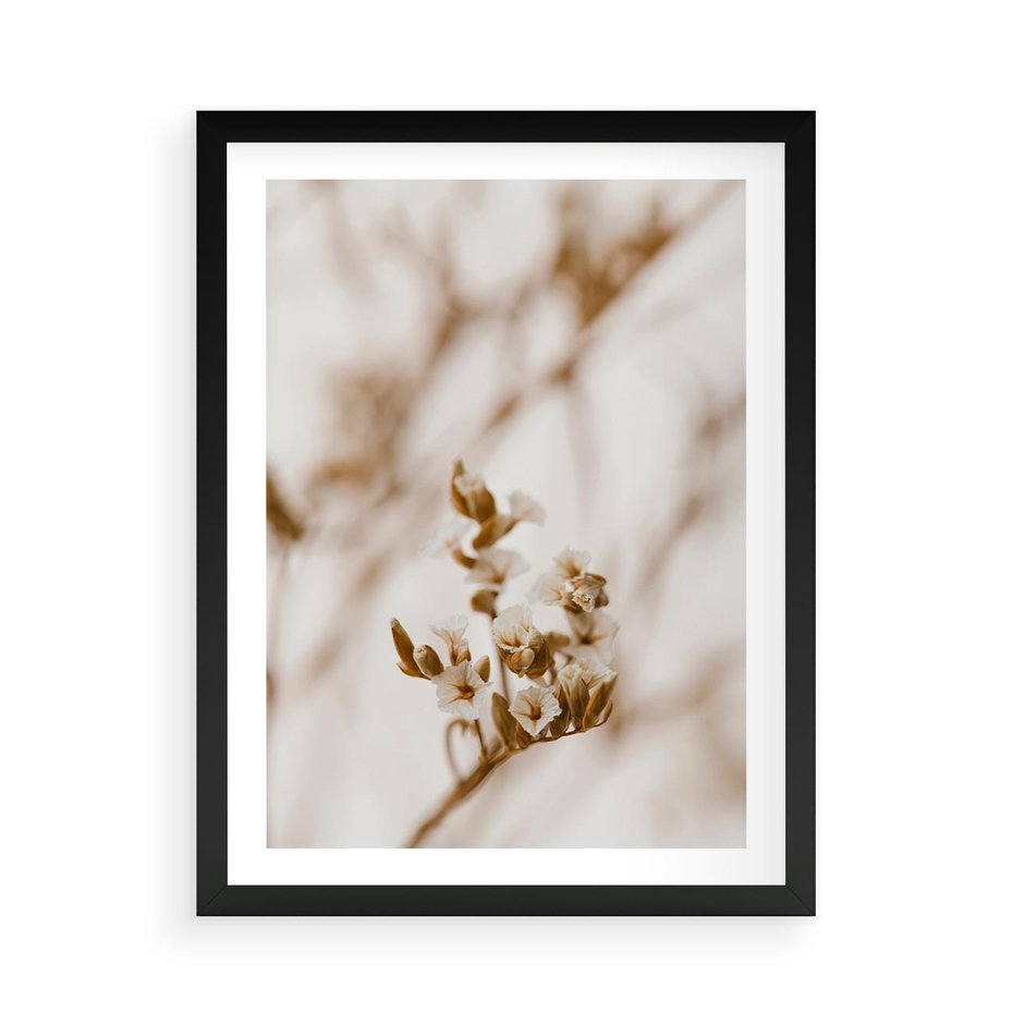 Plakat w ramie 50x70 - Kwiatowa suchość - kwiaty, susz - rama czarna