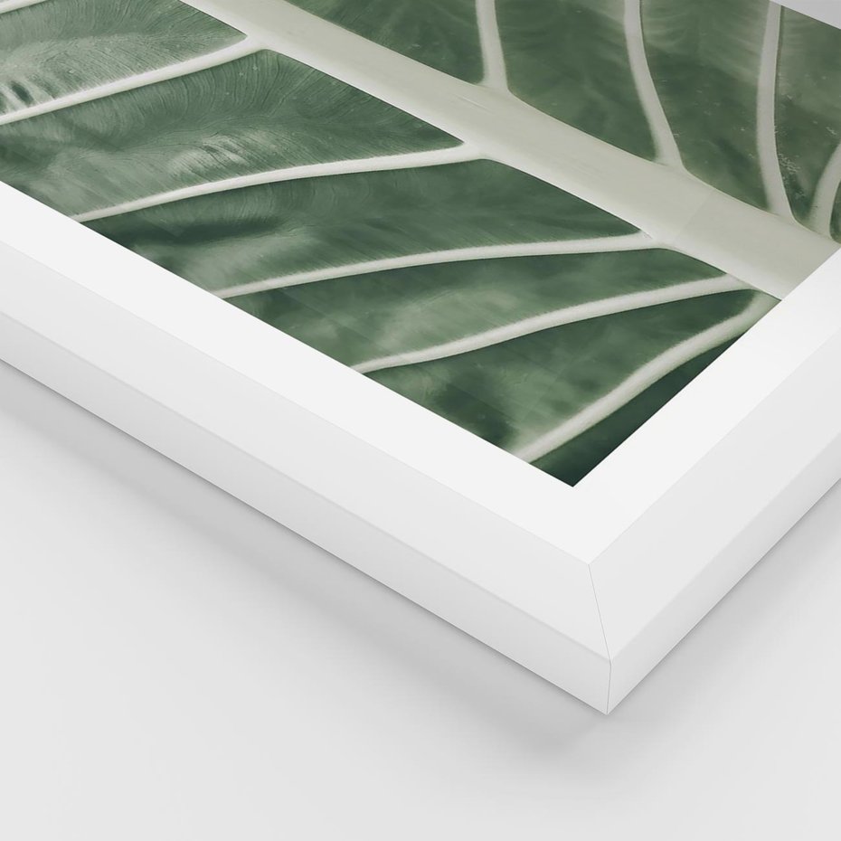 Plakat w ramie 30x40 - Zielone Wielkości: Zbliżenie Liścia - zbliżenie duz liść, jasna zieleń - rama biała