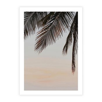 Plakat bez ramy 50x70 - Tropikalna Harmonia - palmy na tle nieba