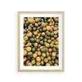 Plakat w ramie 30x40 - Świeżość Cytrusów - cytryny, limonki - rama drewno
