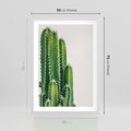 Plakat w ramie 50x70 - Minimalistyczne Kaktusy na Białym Tle - kaktusy, minimalistyczna fotografia - rama biała