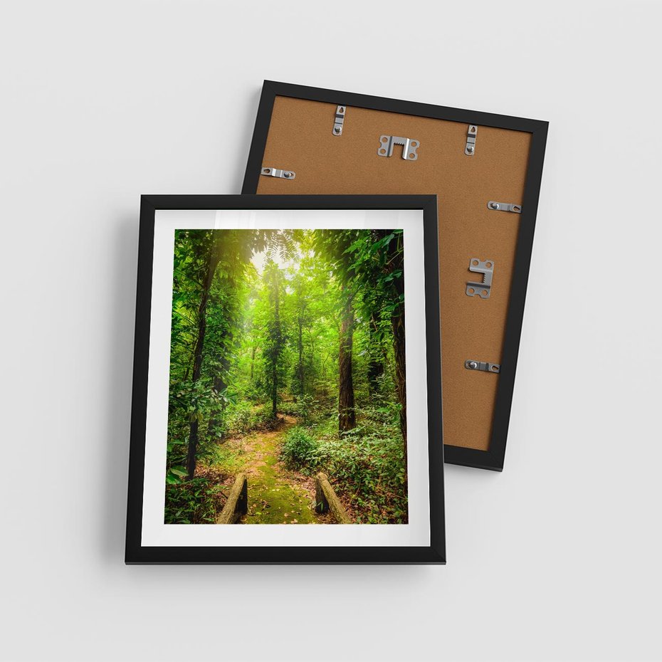 Plakat w ramie 40x50 - Współistnienie z naturą - drzewa, las - rama czarna