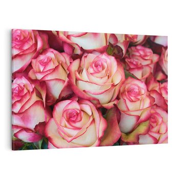Obraz na płótnie 70x50 - Różany urok - kwiaty, róże