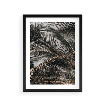 Plakat w ramie 30x40 - Liściaste Palmy - palmy, drzewa palmowe - rama czarna