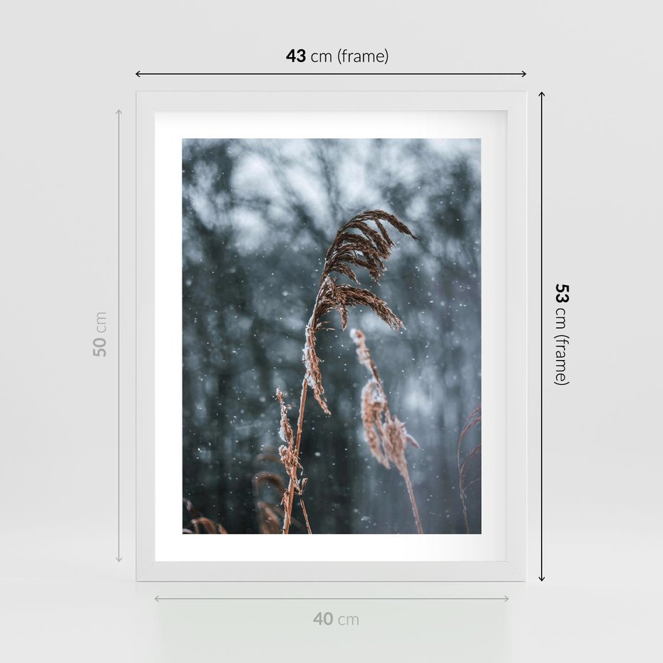 Plakat w ramie 40x50 - Zima na Łonie Natury - sucha wysoka trawa, w zimie - rama biała