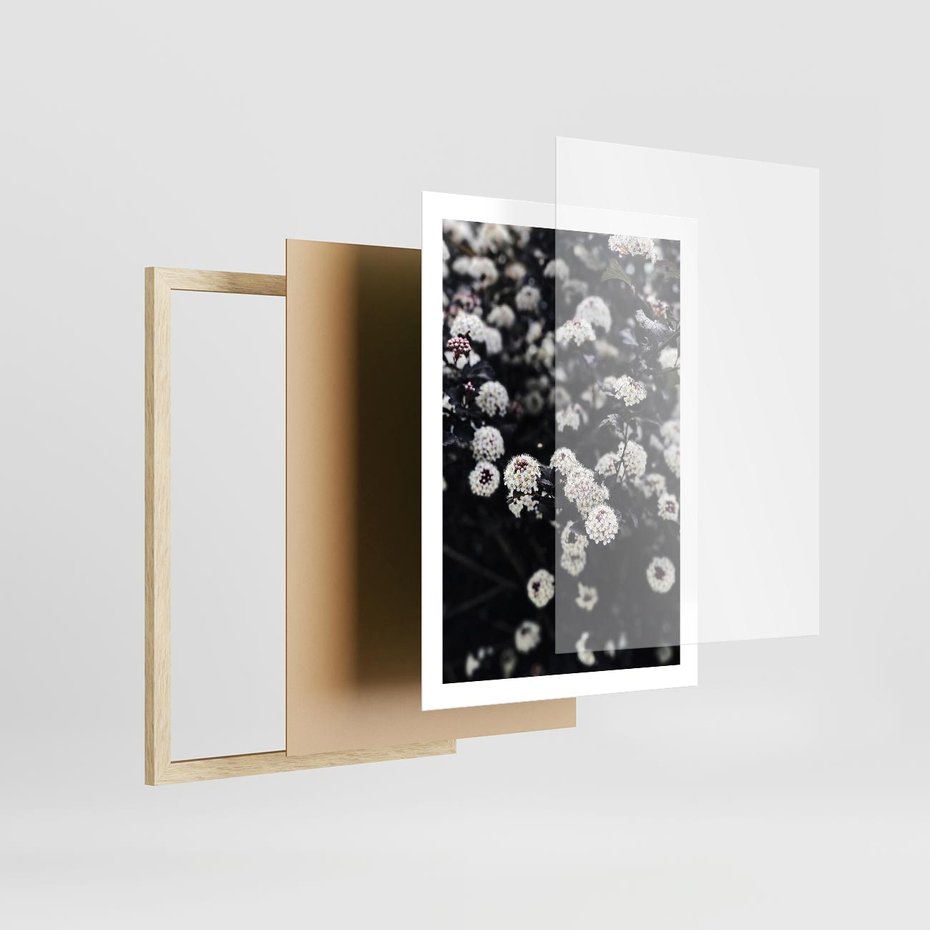 Plakat w ramie 50x70 - Białe Kwiaty na Kwitnącym Krzewie - białe kwiaty, kwitnący krzew - rama drewno