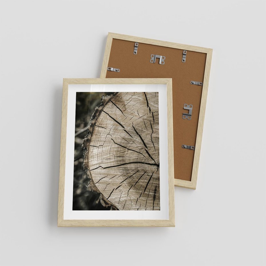 Plakat w ramie 30x40 - Wnętrze Natury - pień, przecięty pień - rama drewno