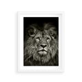 Plakat w ramie 30x40 - Moc lewego spojrzenia - lew, czarno - rama biała