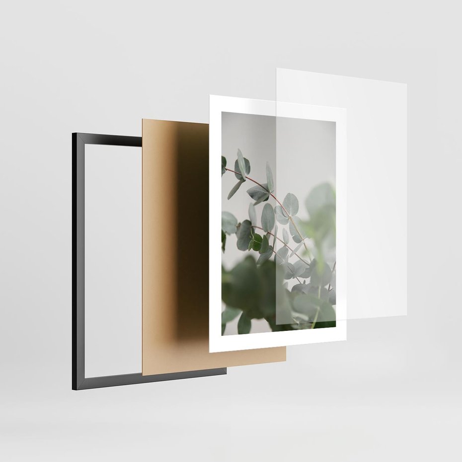 Plakat w ramie 30x40 - Liście eukaliptusa w naturze - eukaliptus, liście - rama czarna