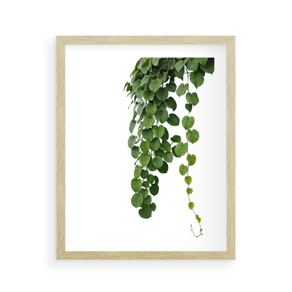 Plakat w ramie 40x50 - Świeżość Natury - liście, zielone - rama drewno