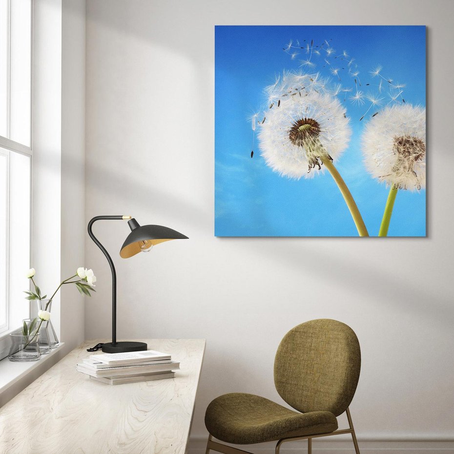 Obraz na płótnie 60x60 - wiatr pełen marzeń - dmuchawce, wiatr