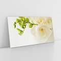 Obraz na płótnie 120x60 - Subtelność białych frezji - frezja, białe