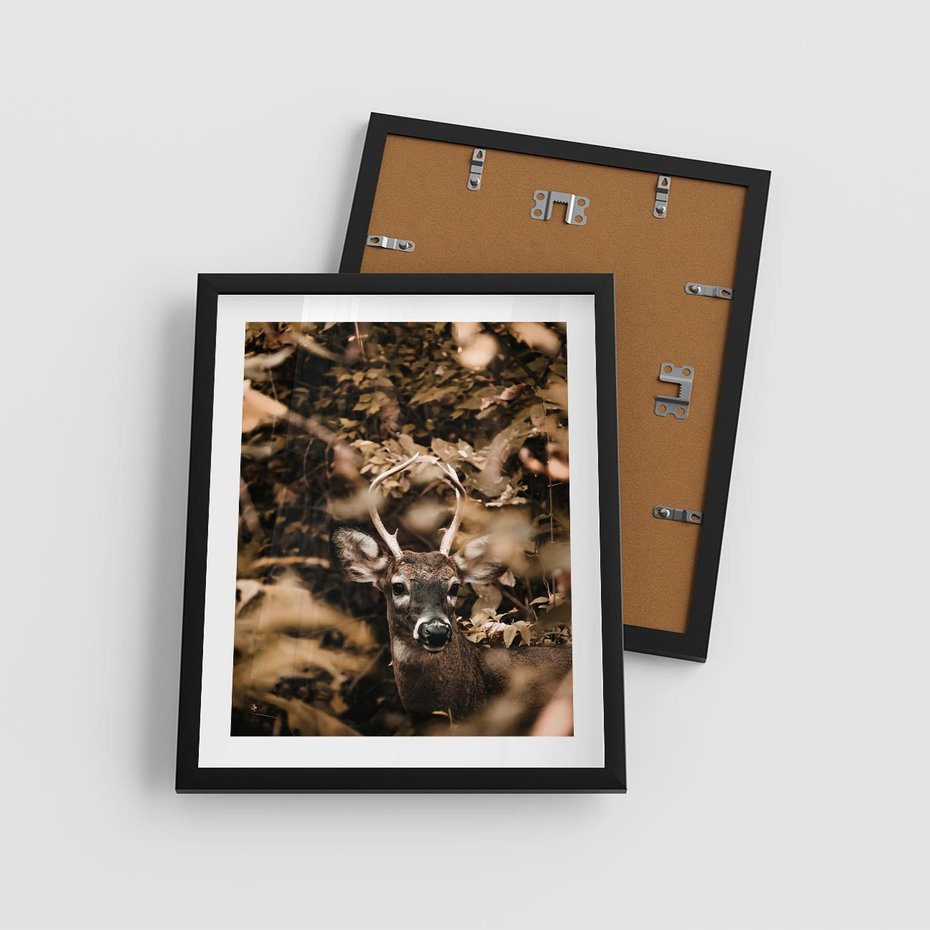 Plakat w ramie 40x50 - Jesienny Jeleń w Lesie - jeleń, w lesie - rama czarna