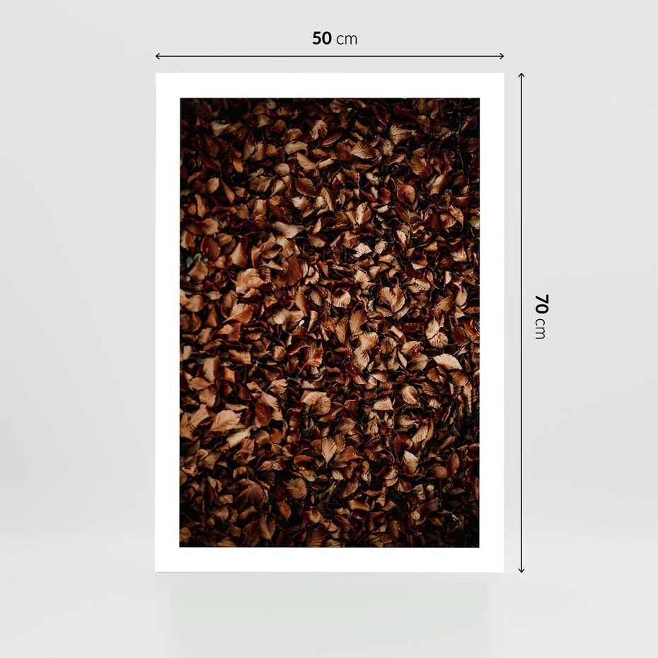 Plakat bez ramy 50x70 - Jesienny Dywan - dywan z suchych liści, jesień