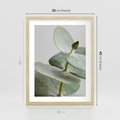 Plakat w ramie 30x40 - Eukaliptusowa zieleń - eukaliptus, zielone - rama drewno