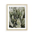 Plakat w ramie 40x50 - Kaktusowa Harmonia - kaktusy, fotografia - rama drewno