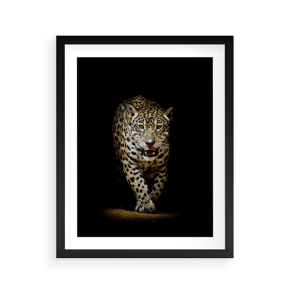 Plakat w ramie 40x50 - Elegancja lamparta - lampart, pantera - rama czarna