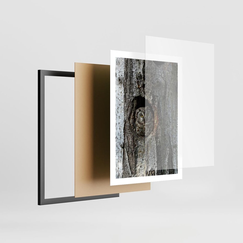 Plakat w ramie 50x70 - Tajemniczy W świecie Nocy - sowa, dziupla - rama czarna
