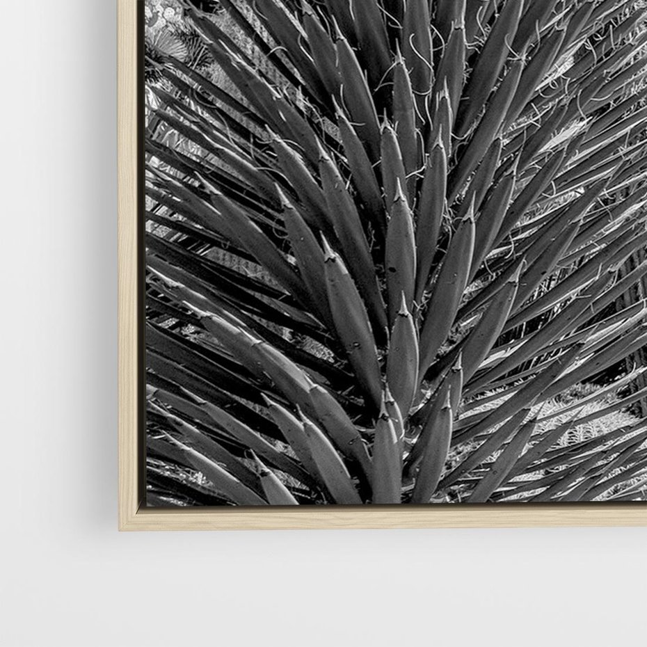 Obraz w ramie 100x70 - Pustynny Klimat - czarno białe zdjecie, pustynia - rama drewno