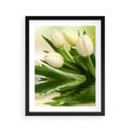 Plakat w ramie 40x50 - Białe Piękno - białe, tulipany - rama czarna