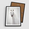Plakat w ramie 50x70 - Elegancja białego konia - biały, koń - rama czarna