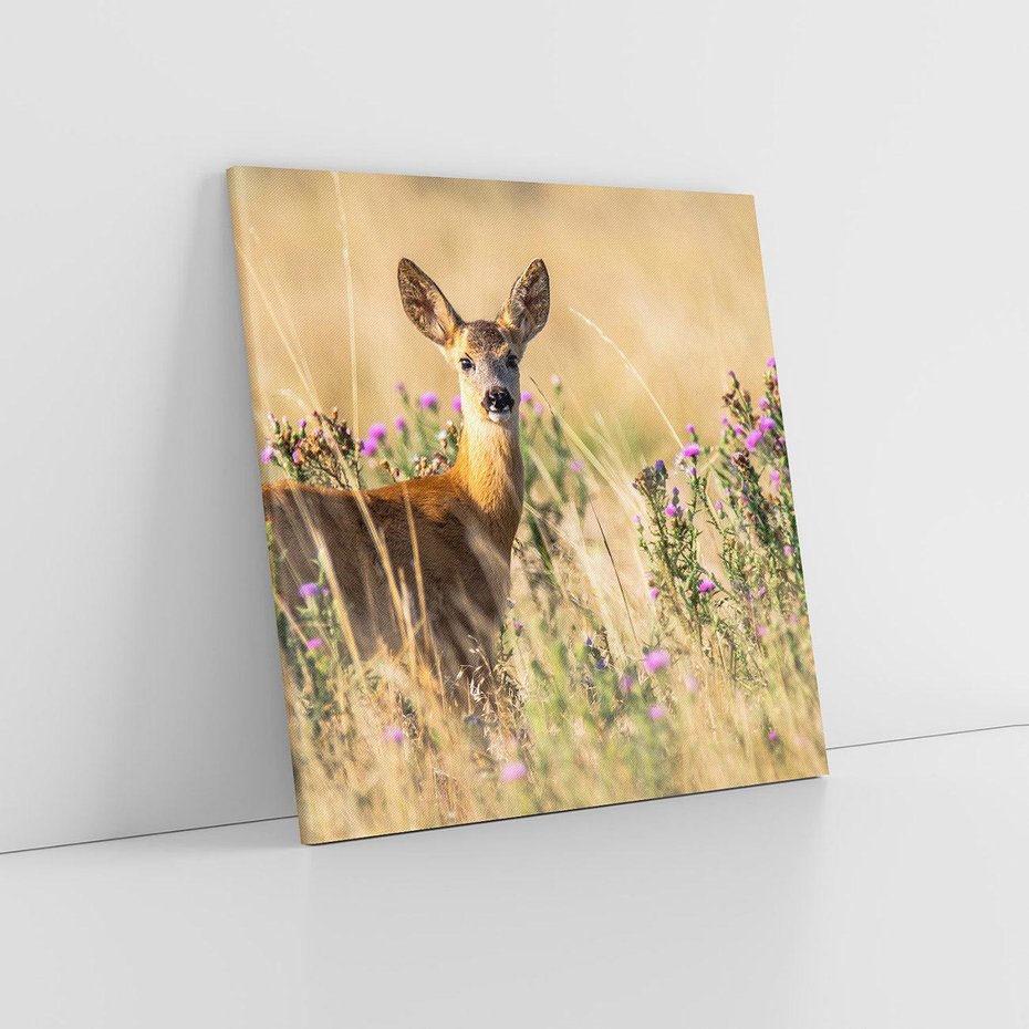 Obraz na płótnie 80x80 - Sarenka na malowniczej łące - sarna, sarenka