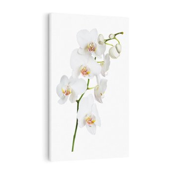 Obraz na płótnie 50x70 - Ekskluzywny Relaks - storczyk, spa