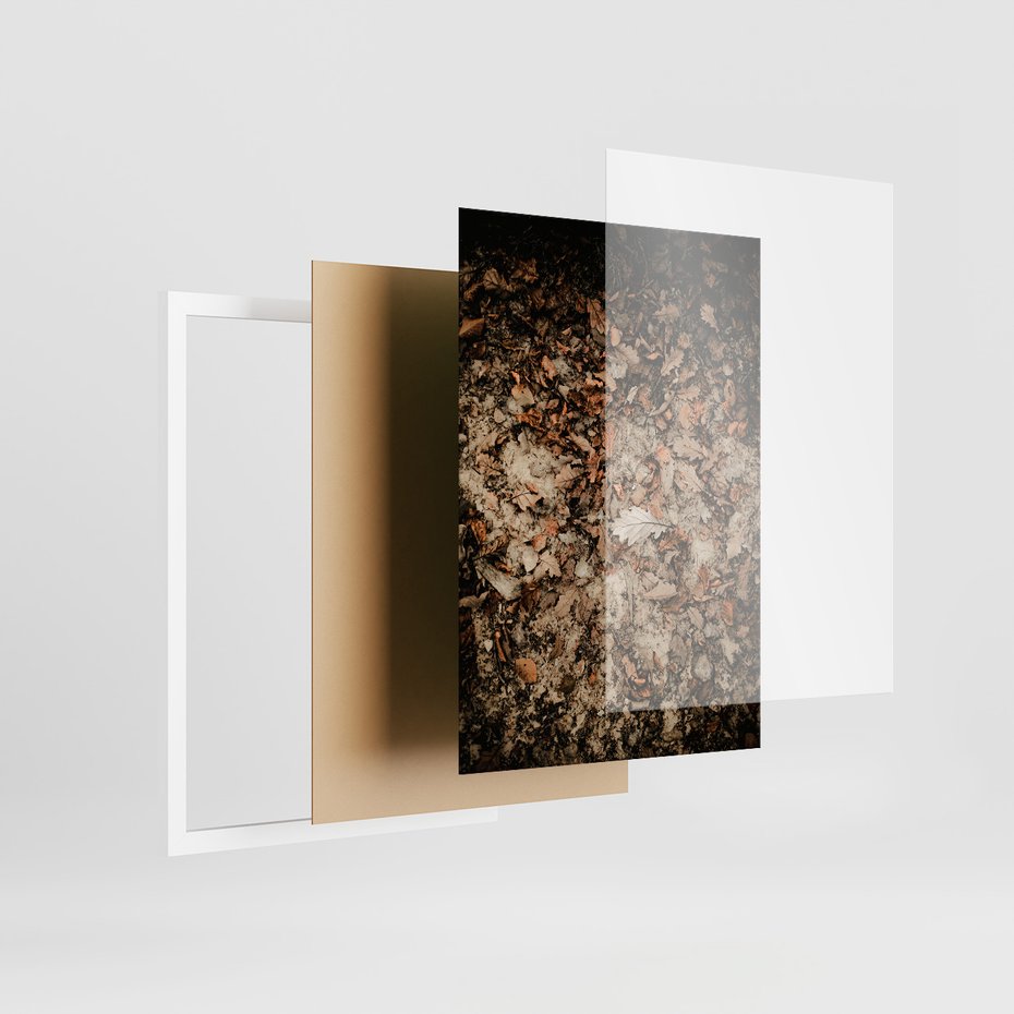 Zestaw obrazy w ramie 30x40 galeria - Las, jesień, jeleń - rama biała