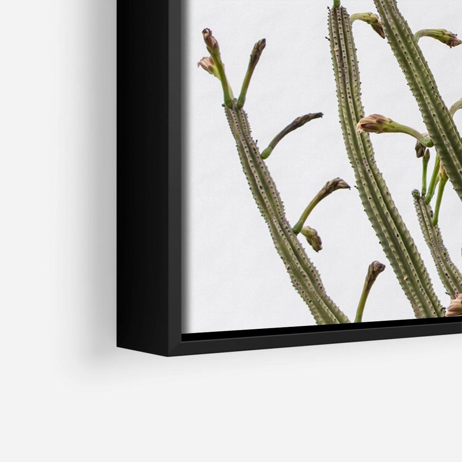 Obraz w ramie 70x50 - Ekskluzywna Roślinność - kaktusy, liście - rama czarna