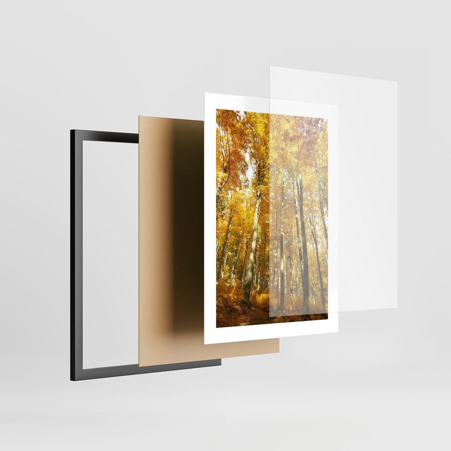 Plakat w ramie 30x40 - Jesienny Las - Kolorowa Paleta Natury - jesień, drzewa - rama czarna