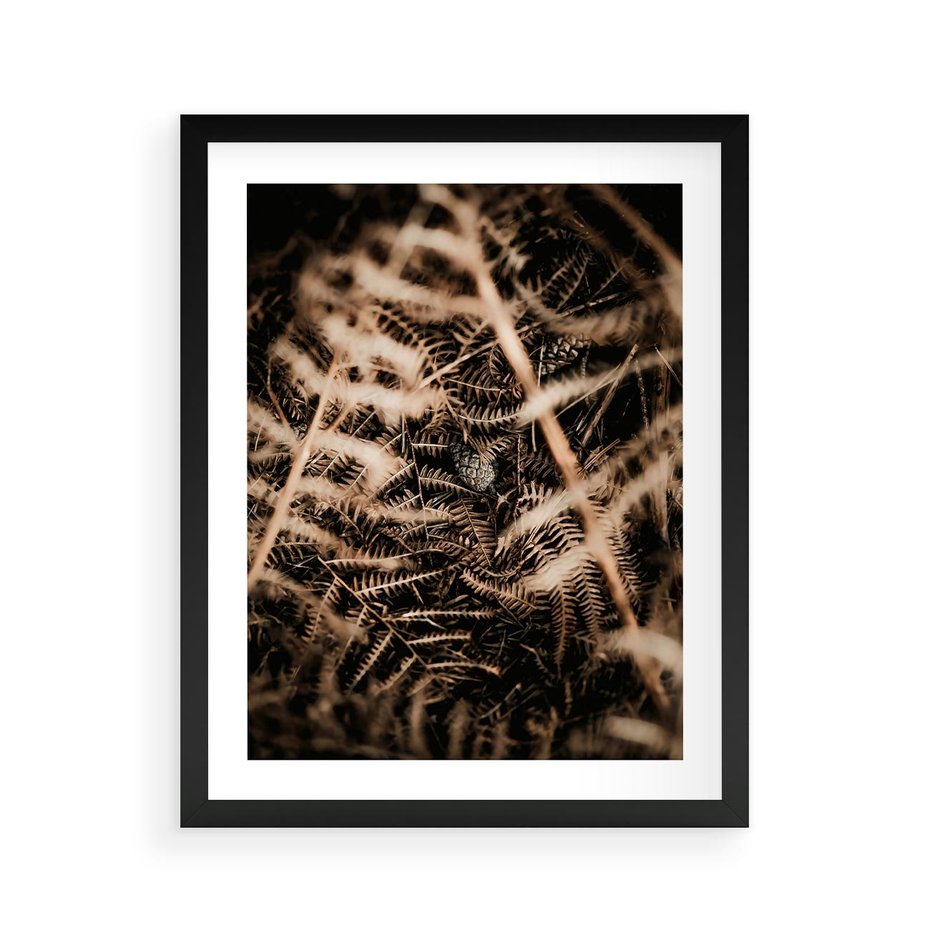 Plakat w ramie 40x50 - Liście i Paprocie - suche liście, paprocie - rama czarna