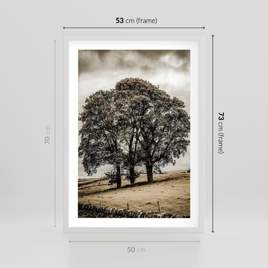 Plakat w ramie 50x70 - Spokojna Osamotniona Chwila - beżowe kolory, samotne drzewo na polu - rama biała