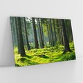 Obraz na płótnie 120x80 - Idylliczny las - las, drzewa