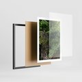Plakat w ramie 50x70 - Żywiołowa Zieleń - mur, liście - rama czarna