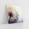 Obraz na płótnie 70x70 - Makro piękno dmuchawca - makro, dmuchawiec