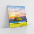 Obraz na płótnie 70x70 - Drzewo, Morze, Trawa - Naturalna Harmonia - drzewo, morze
