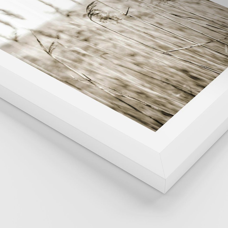 Plakat w ramie 30x40 - Nostalgiczny Pejzaż - suche trawy, pole - rama biała