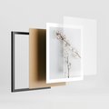 Plakat w ramie 40x50 - Gałęzie Bawełny na Białym Tle - gałęzie bawełny na białym tle, minimalizm - rama czarna