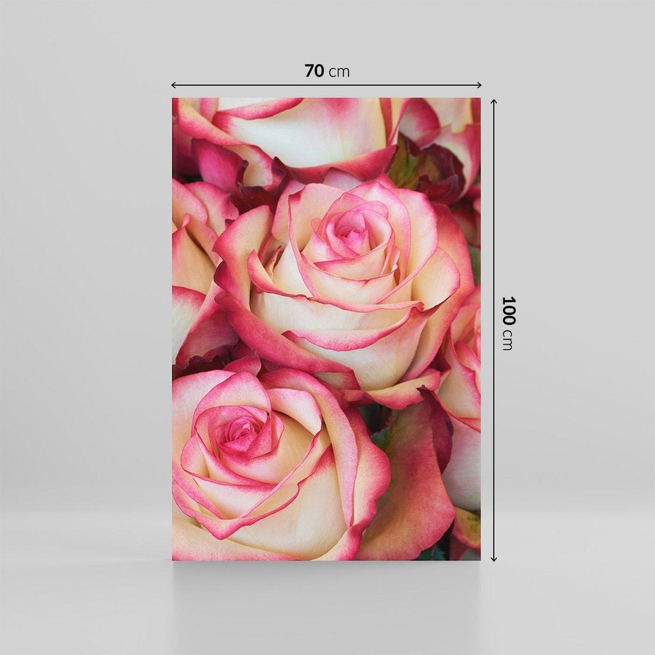 Obraz na płótnie 70x100 - Różany urok - kwiaty, róże