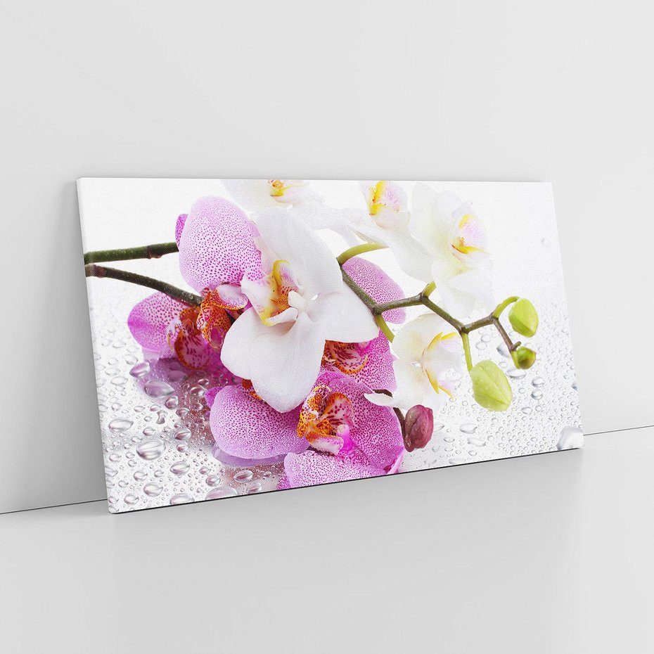 Obraz na płótnie 120x60 - Magia kwiatów - kwiaty