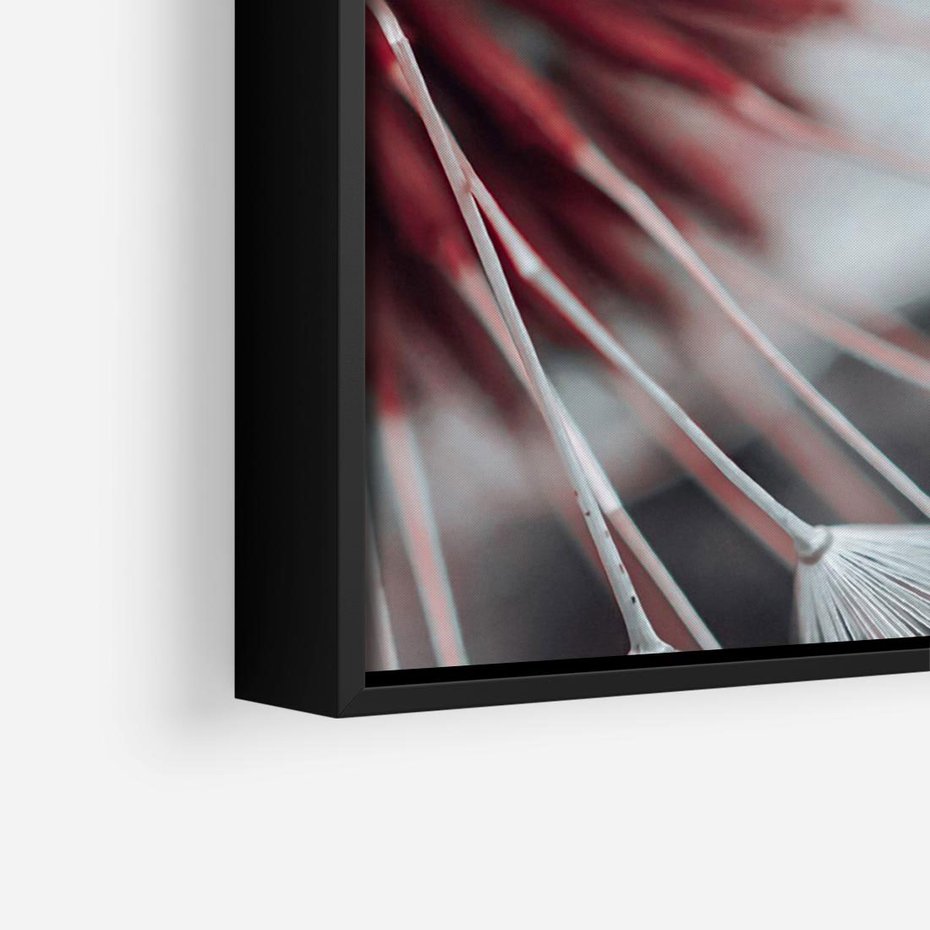 Obraz w ramie 100x70 - Makro świat dmuchawca - dmuchawiec, makro - rama czarna