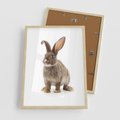 Plakat w ramie 50x70 - Delikatna Zwierzęca Uroda - królik, zwierzę - rama drewno