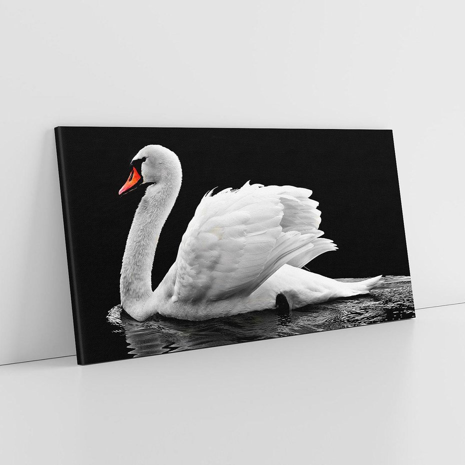 Obraz na płótnie 140x70 - Delikatne Uderzenie Skrzydeł Łabędzia - łabędź, ptak