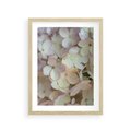 Plakat w ramie 30x40 - Kwiatowy taniec - kwiaty, hortensje - rama drewno
