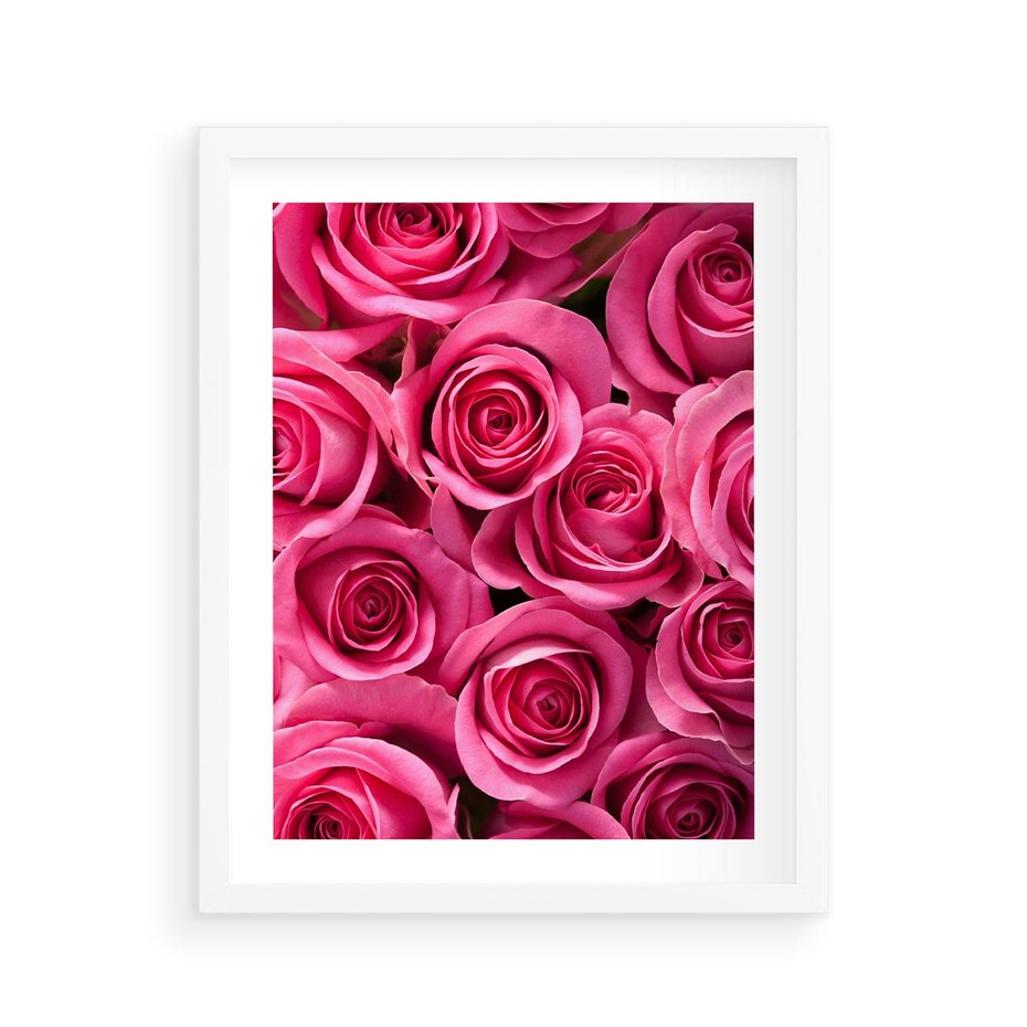 Plakat w ramie 40x50 - Romantyczne róże w pełnym rozkwicie - róże, kwiaty - rama biała